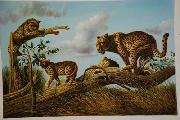 unknow artist Lions 030 Spain oil painting artist